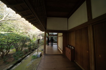 京都のお寺の庭園
