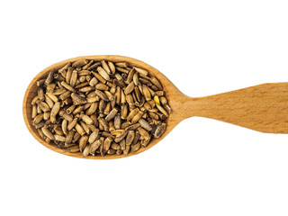 Dry Silybum seeds in a wooden spoon on a white background