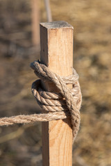 knitted braided rope on a tree