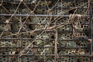 Obraz premium Cabbage on the Pick up truck