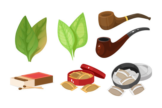 Smoking tobacco, bad habits set. Cigars, cigarettes, cigarillos, rolls in paper. Snuff, chewing tobacco powder, nicotine, tobacco leaves, smoking pipes. Concept of cigarette harm vector