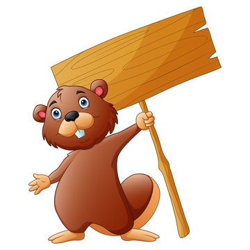 A beaver holding a sign board on a white background