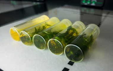 Photosynthesis Vial