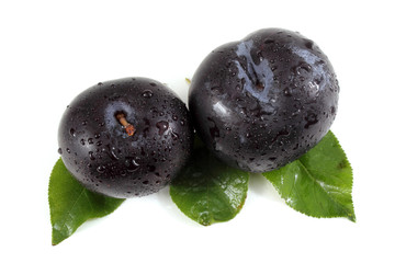 Two black plums on leaves