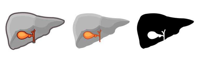 Healthy human gall bladder. Whole. Set. Color image and monochrome icon. A series of illustrations on the internal organs. Isolated vector object on a white background.