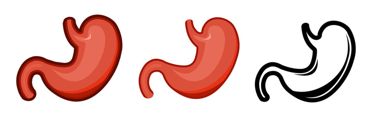 Obraz premium Healthy human stomach. Whole. Set. Color image and monochrome icon. A series of illustrations on the internal organs. Isolated vector object on a white background.