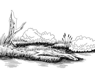 Bog swamp graphic black white landscape sketch illustration vector  - obrazy, fototapety, plakaty