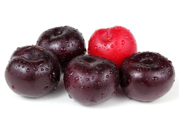 Violet and red plums
