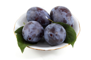 Blue plums on dish