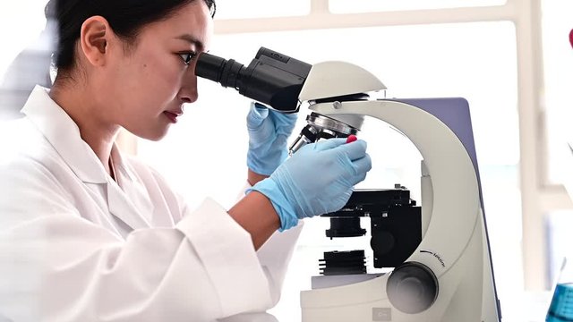 双眼実体顕微鏡の操作をする女性