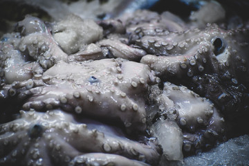 Raw fresh octopus with the suction cups exposed on sale in public market.