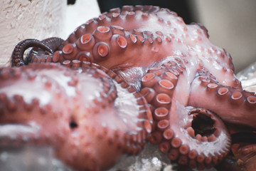 Cooked octopus on sale in a public market in the Mexican capital.