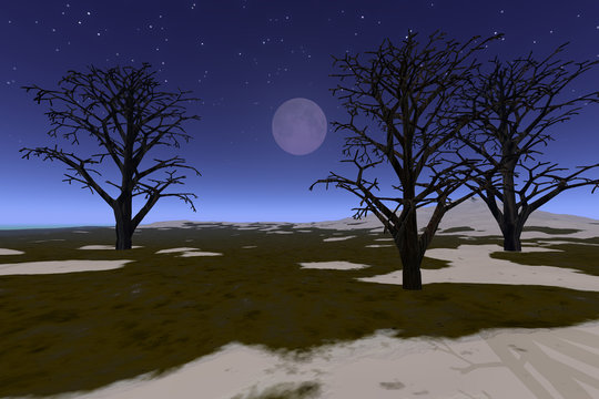 Moon in the sky, a night landscape, trees without leaves and snow on the ground.
