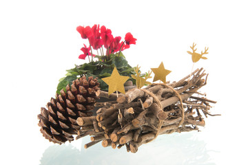 Red Cyclamen with Christmas ornaments