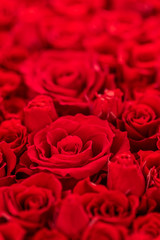 Fototapeta premium バラの花束