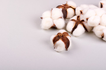 Cotton ball on grey background composition.