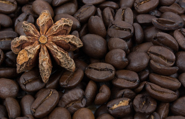 Coffee Beans with A Chinese Anise