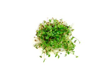 Micro greens closeup on a white background isolated with top view on foliage.