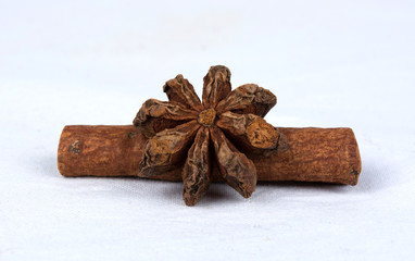 Cinnamon adn Chinese Anise