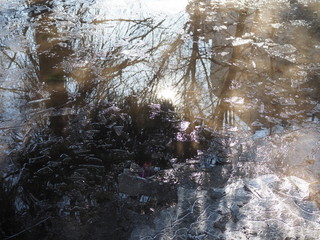 puddles in the spring. The sun's rays and glare are reflected in the puddles. Snow and ice are...