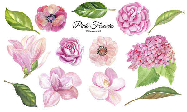 finished image of pink flowers of roses, peony, Magnolia, hydrangea on a white background