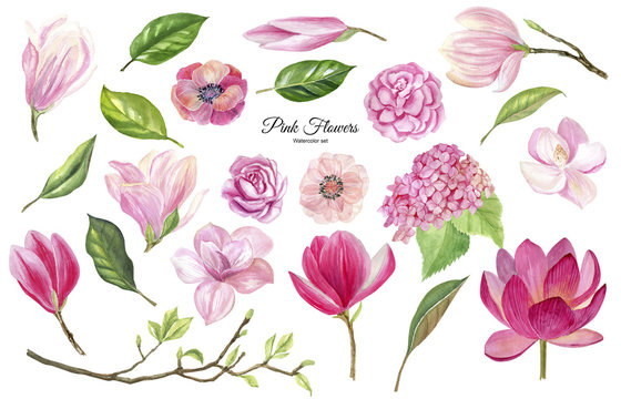finished image of pink flowers of roses, peonies, magnolias, hydrangeas with twigs and green leaves on a white background