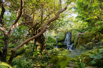Fototapeta premium Photos of garden, trees, waterfalls, background, sunlight, natural, beautiful, green, can be used as a background