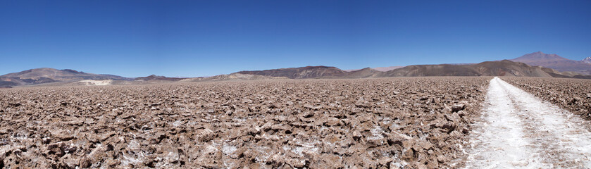 Salt pan at the Salar of Antofalla at the Puna de Atacama, Argentina