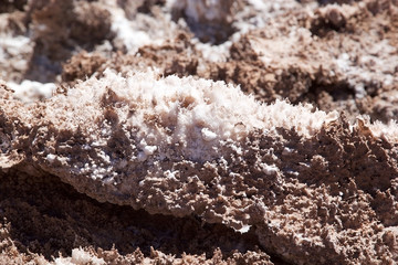 Detail of the Salt pan at the Salar of Antofalla at the Puna de Atacama, Argentina