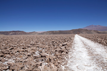 Salt pan at the Salar of Antofalla at the Puna de Atacama, Argentina