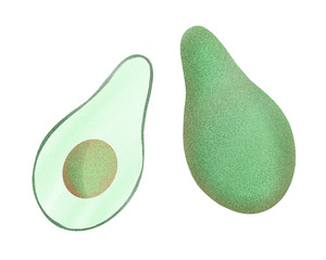 Hand drawn color avocado illustration. Organic fresh vegetable illustration isolated on white background. Retro vegetable botanical picture.