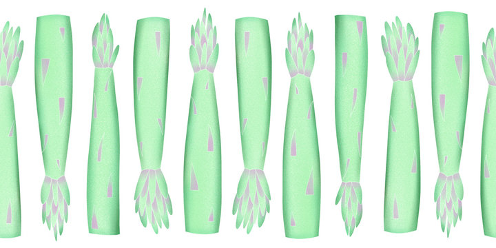 Hand drawn color asparagus seamless pattern. Organic fresh vegetable illustration isolated on white background. Retro vegetable botanical background.