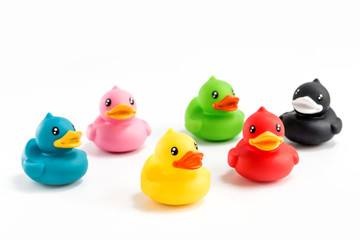 Take a close up shot of the toy duck
