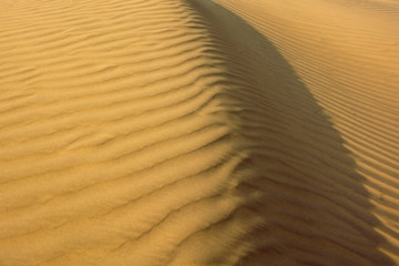 Sand dunes in the desert