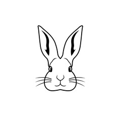 Head rabbit cartoon drawing