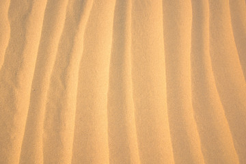 Abstract striped background of sand 