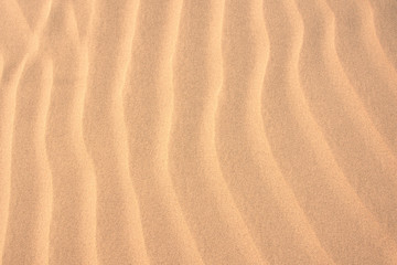 Fototapeta na wymiar Texture of brown sand