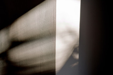 Abstract shadow on a white wall
