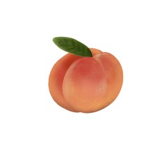 peach watercolor isolated on white background