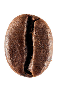 Brown roasted coffee bean isolated on white background. Super macro in huge definition.