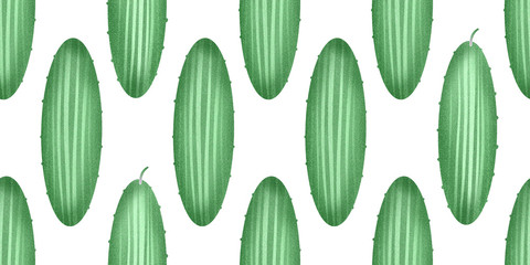 Hand drawn color cucumber seamless pattern. Organic fresh vegetable illustration isolated on white background. Retro vegetable botanical background.
