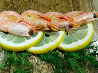Boiled prawns with lemon and dill slices on a plate.