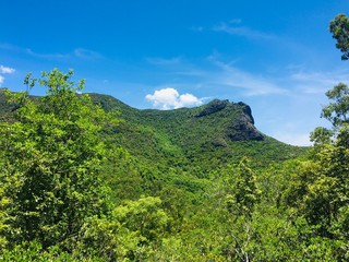 Fototapeta na wymiar mountain landscape with trees and blue sky