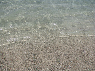abstract natural background small fishes in coastal water on a background of sand in the Red Sea