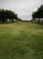  Chulalongkorn University Centenary Park, Bangkok, Thailand