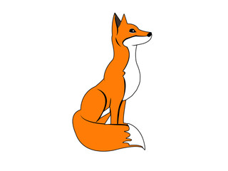 Fox Sitting On White Background