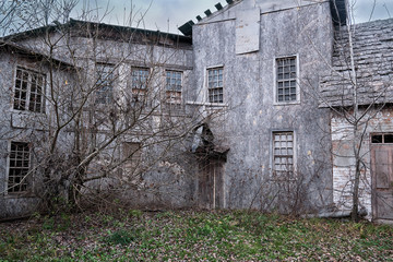 Obraz premium Old city closed by tree branches on a background of gray cloudy sky
