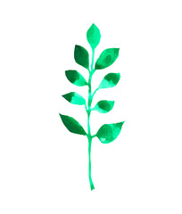 Watercolor illustration of green leaf