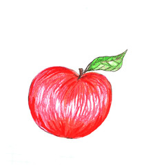 Hand drawn illustration of red apple