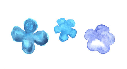 Hand painted botanical elements. Blue flowers.